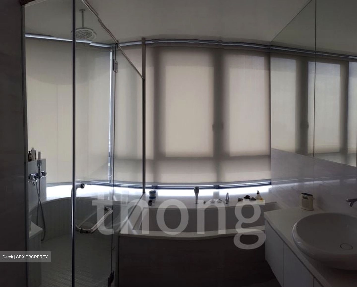 Skyline 360 @ Saint Thomas Walk (D9), Condominium #634639931